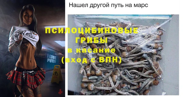 Альфа ПВП Инта