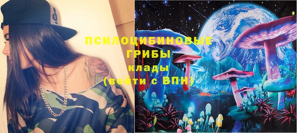 Альфа ПВП Инта