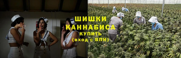 Альфа ПВП Инта