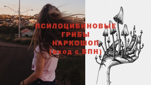 герыч Инсар