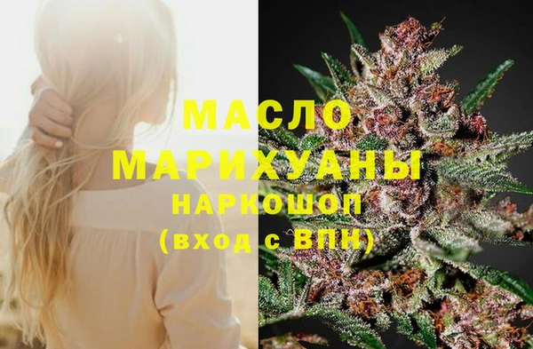 Альфа ПВП Инта